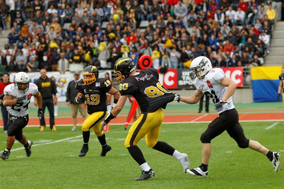 Expériences professionnelles : FFFA-Fédération Française de Football Américain